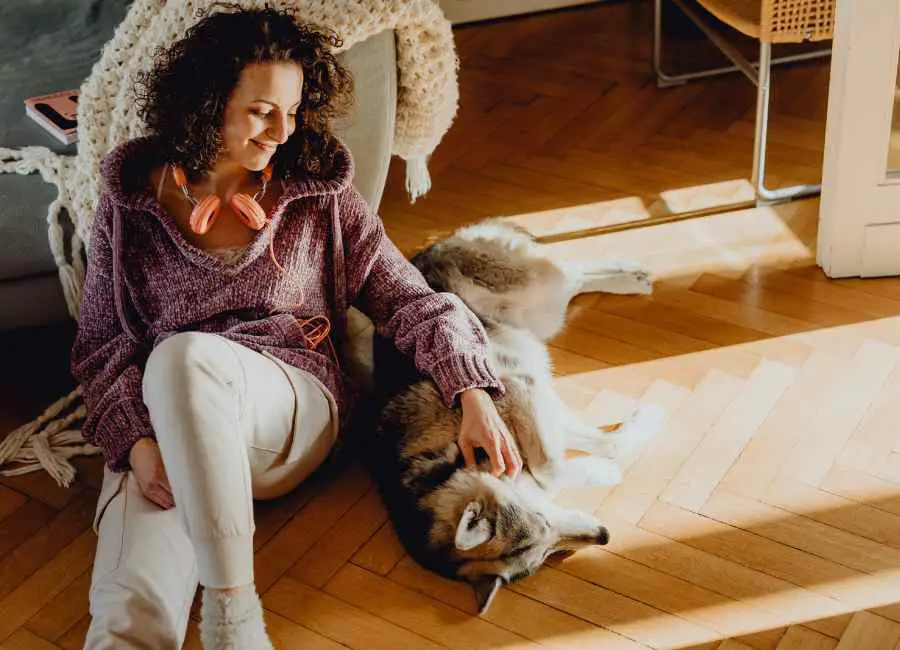 Ways To Comfort a Dying Dog