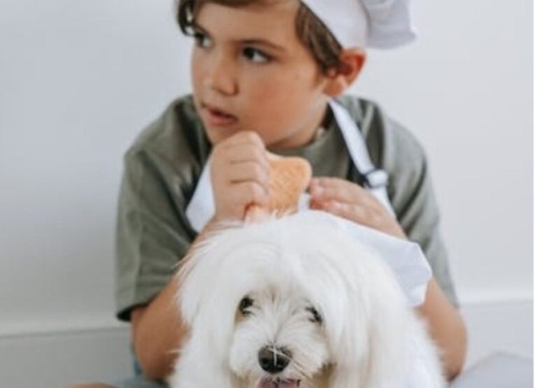 Are Havanese Good With Kids [Answered]