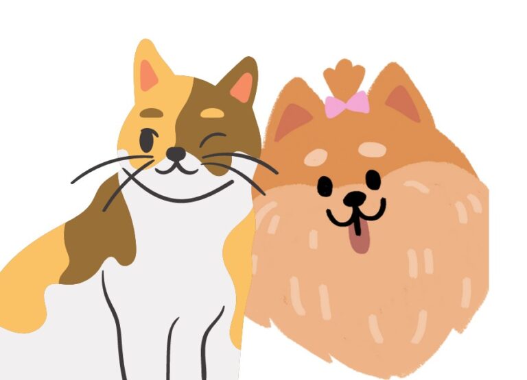 Helping Pomeranians Get Along With Cats