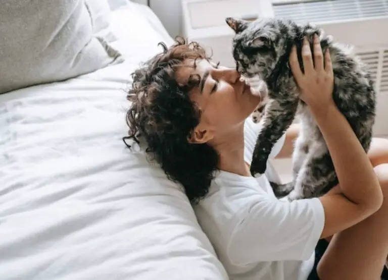 11 Telltale Signs Your Cat Likes You [Explained]