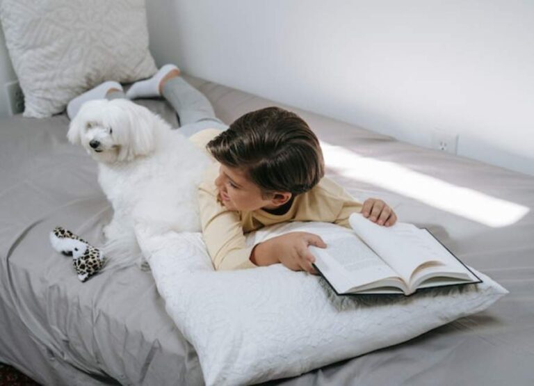 17 Ways To Make Maltese Dogs Happy