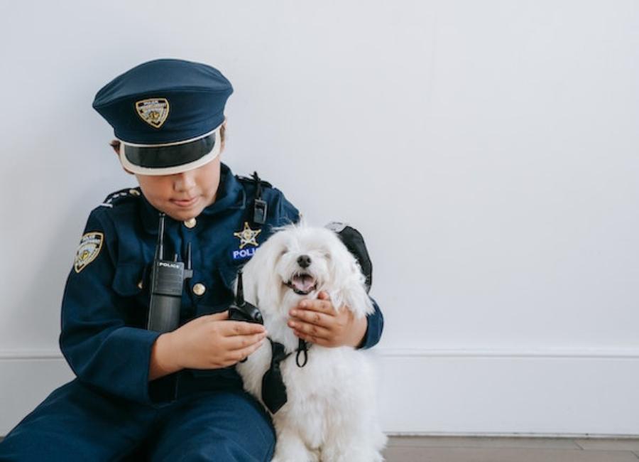 How To Discipline a Maltese