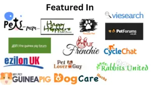 12 Common Male Cat Behavior After Neutering