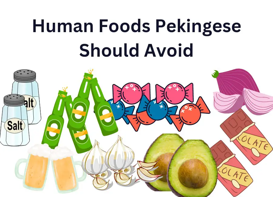 Human Foods Pekingese Should Avoid
