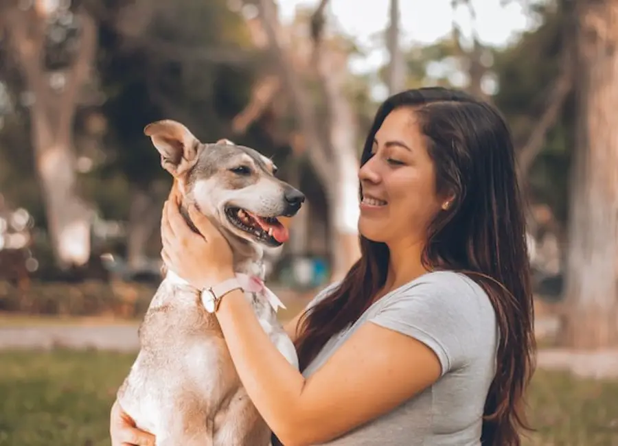 How to Tell Your Dog You Love Them