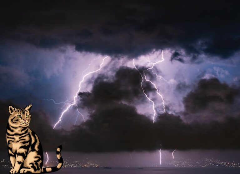 Are Cats Afraid of Thunderstorms [See Reasons]