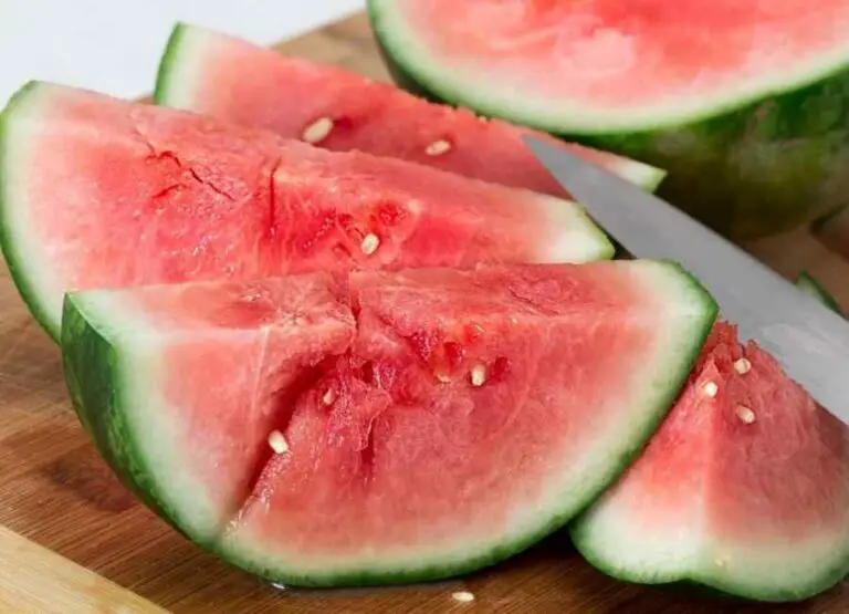 Can Pugs Eat Watermelon [How To Feed & Benefits]