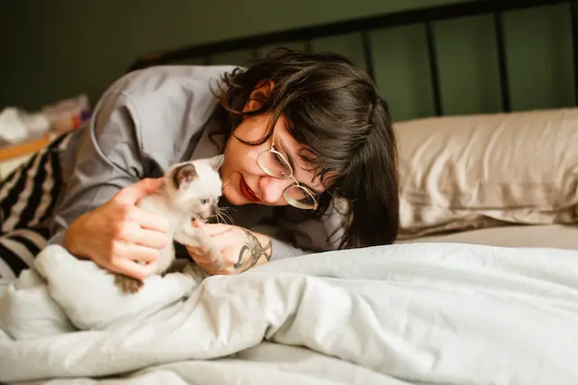 Benefits of Siamese Cat Socialization