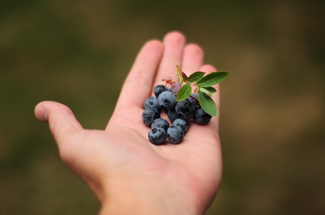Nutritional Benefits of Blueberries