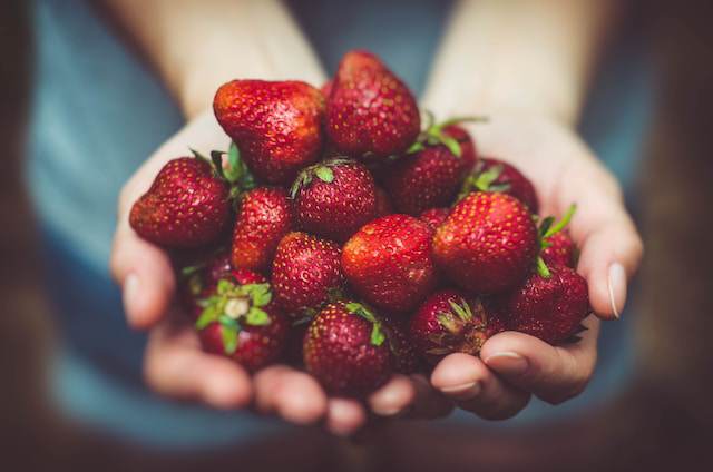 Are strawberries safe for dogs