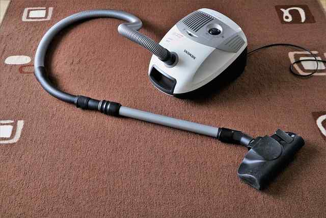 Vacuuming Regularly