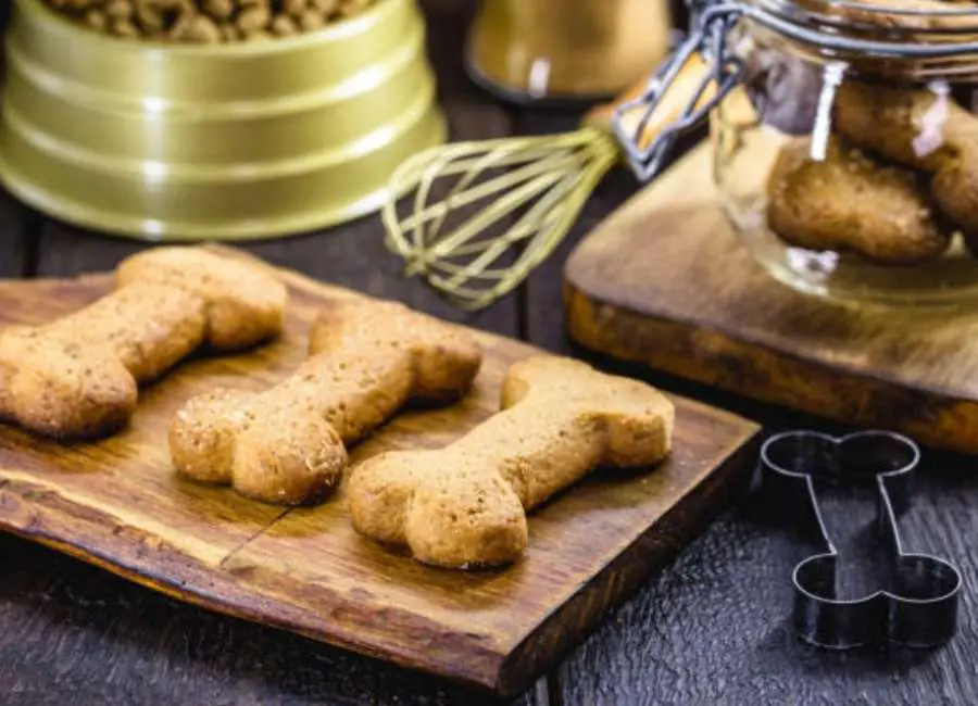 Guideline to Making Homemade Dog Treats