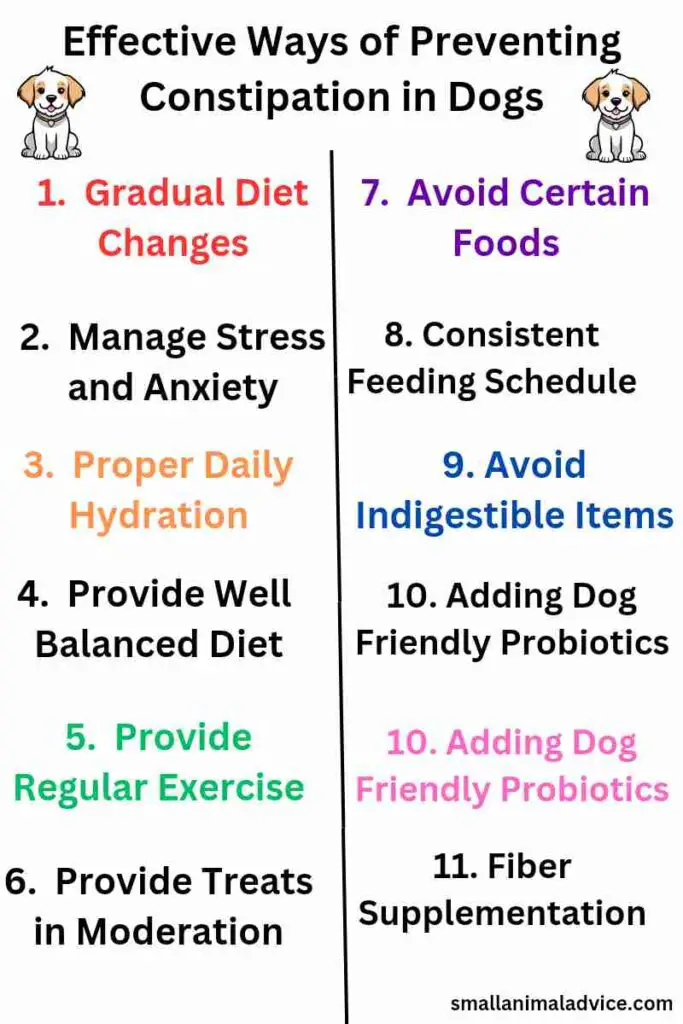 Effective Ways of Preventing Constipation in Dogs