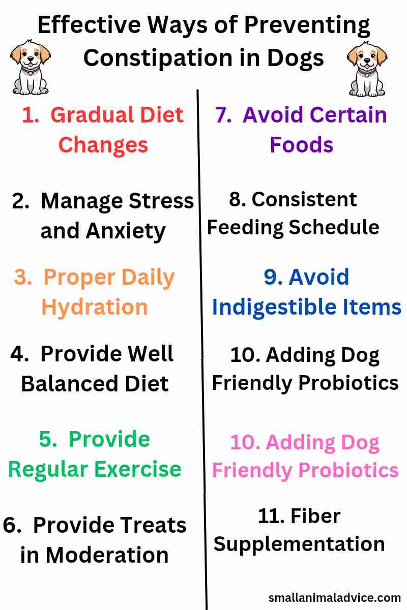 Constipation And Hydration In Dogs photo