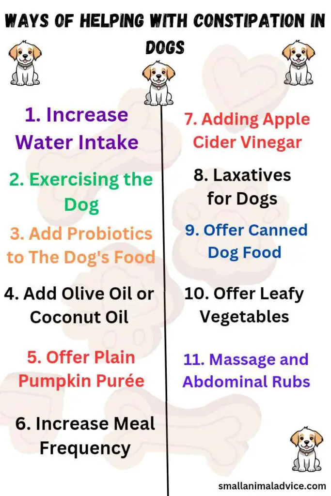 Ways of Helping With Constipation in Dogs