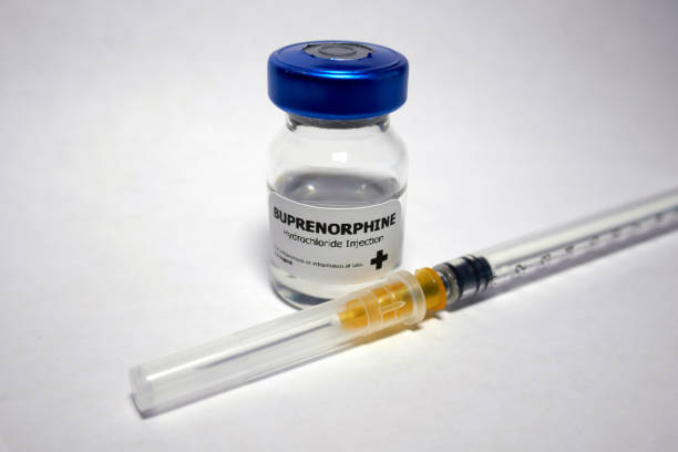 Side Effects of Buprenorphine in Dogs