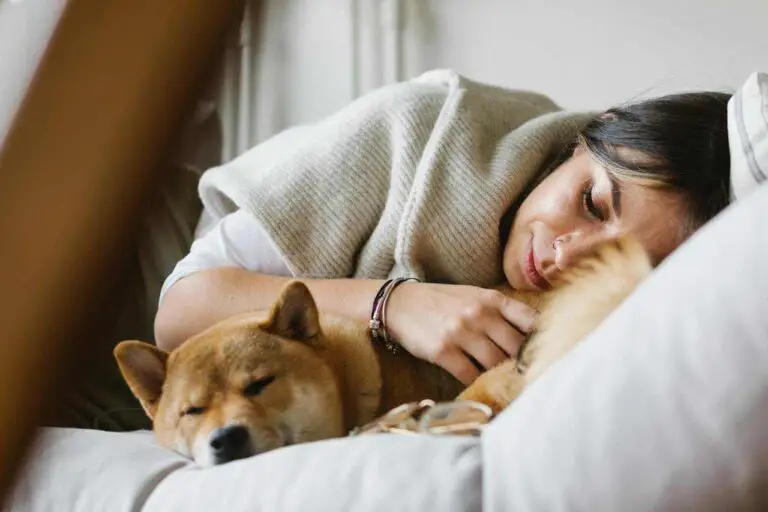 Why Does My Dog Sleep So Close To Me [11 Reasons]