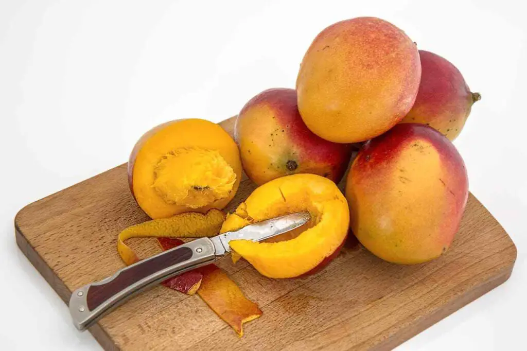 Can African Greys eat Mango