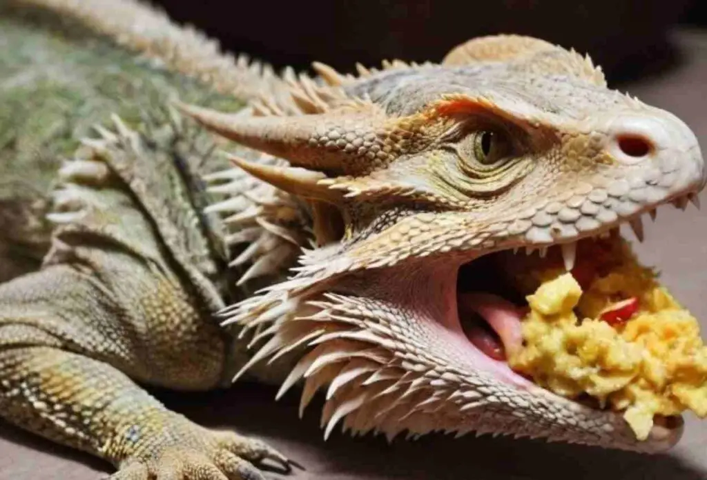 What Bearded Dragons Can Eat