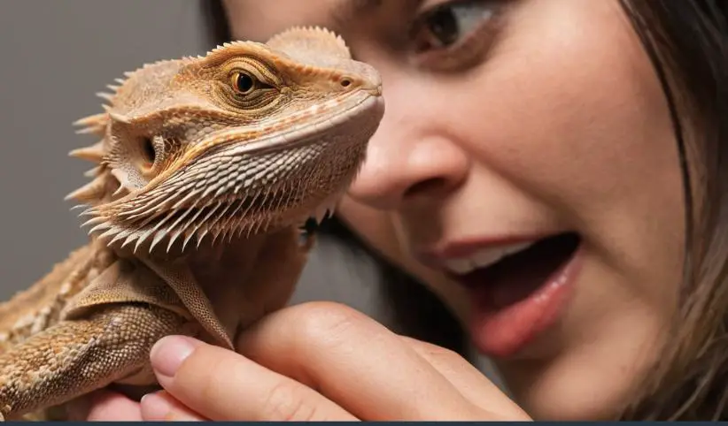 Benefits of proper petting of bearded dragons